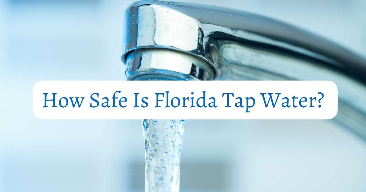 Can You Drink Florida Tap Water?
