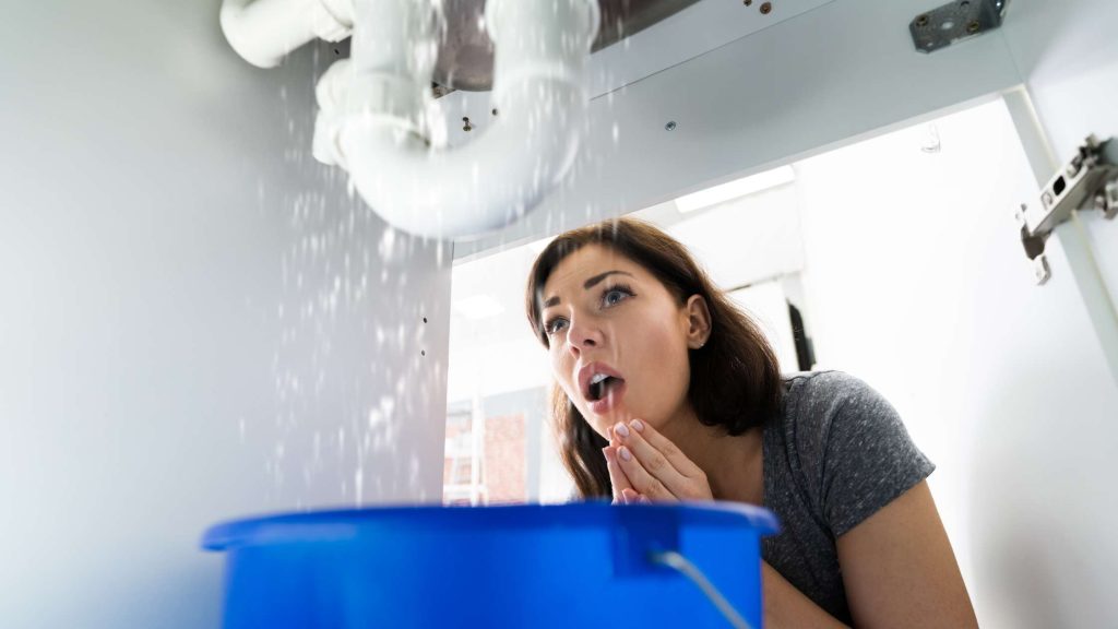 The Impact of Water Quality on Your Plumbing System